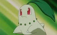 Chikorita is the Grass-type starter of Generation II (Image via The Pokemon Company)